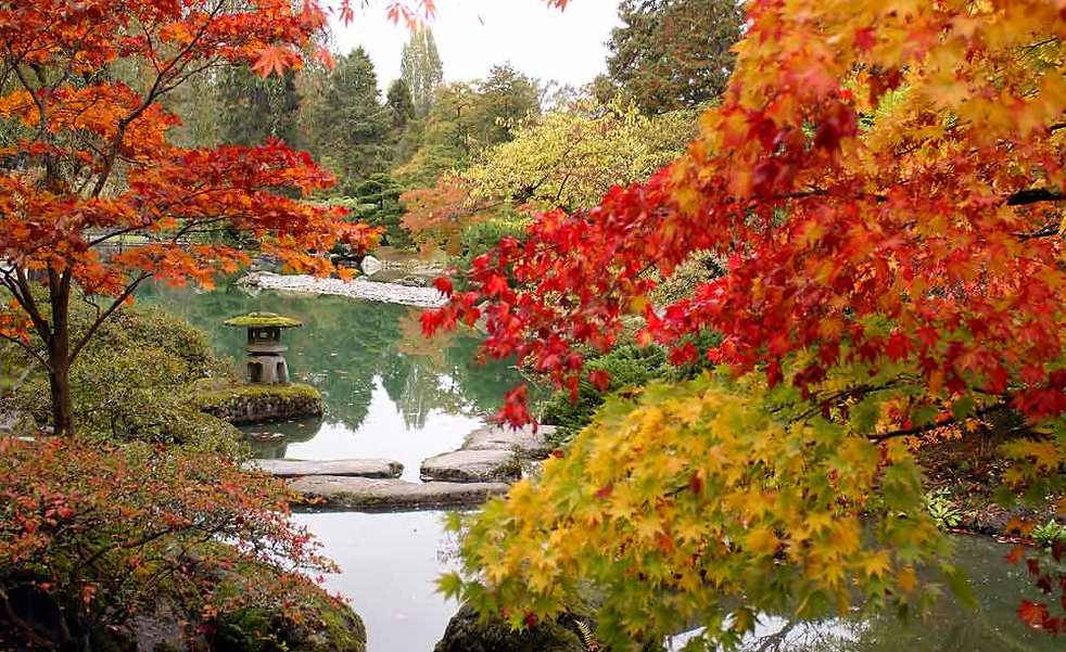 Autumn Pond