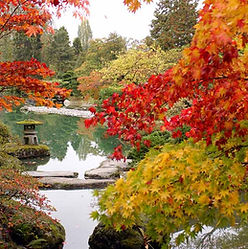 Autumn Pond