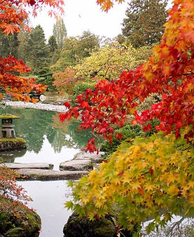 Autumn Pond