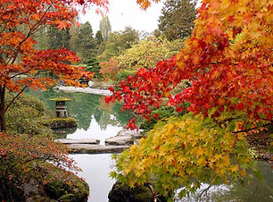 Autumn Pond