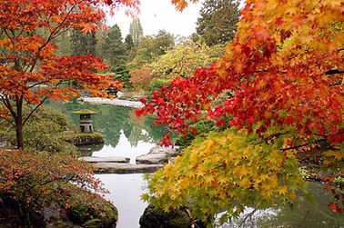 Kew Garden in-person sessions