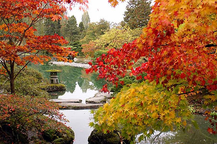 Autumn Pond