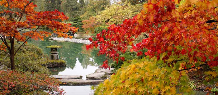 Yay!! Fall Y'all. Hiking is great and colorful.