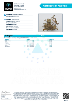 Screenshot 2026-01-31 at 12.32.59 PM.png