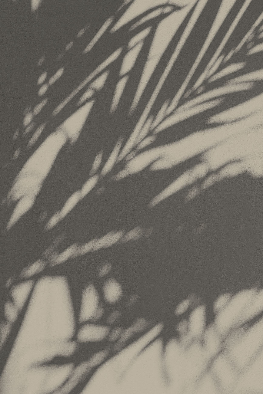Plant Shadow_edited_edited.jpg