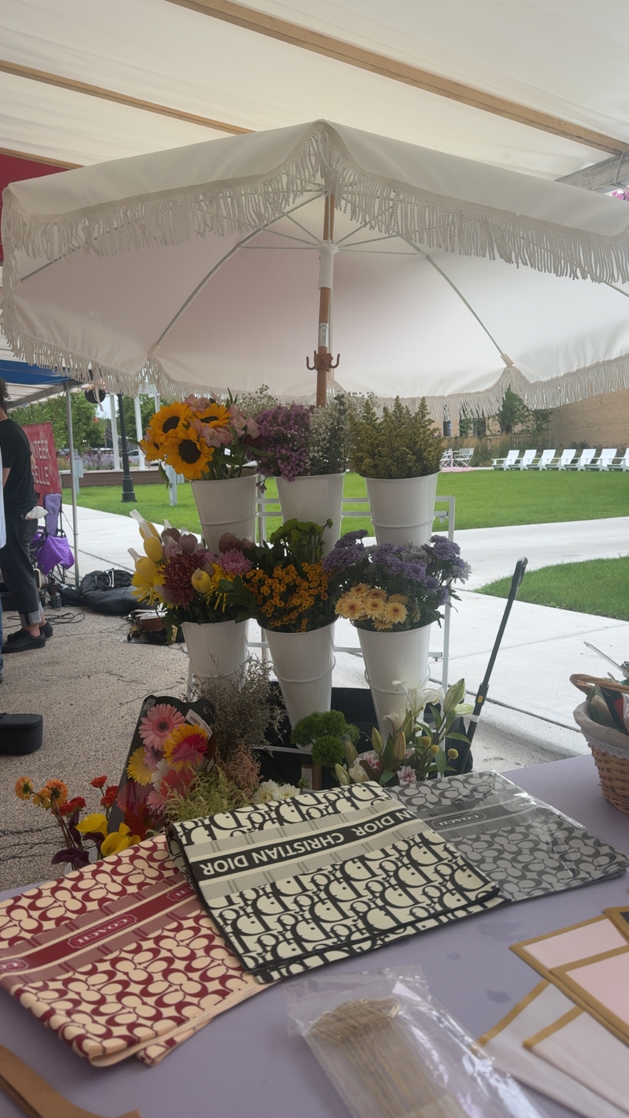 Arranged Food and Objects