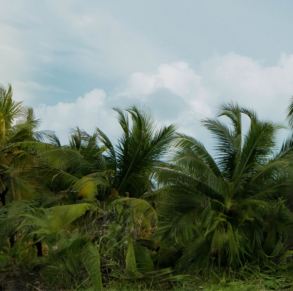 Artboard 2_edited.png