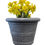 Thumbnail: Eco Vase Planter "Matching Spa Colors: Gray, Sand, Harvest"