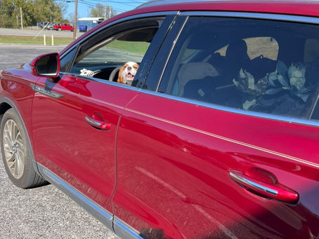 California here we come!