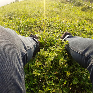 good times in nature