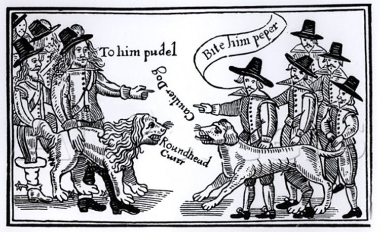 Boye the Battle Pudel