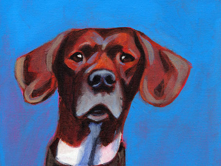 Remarkable Dogs