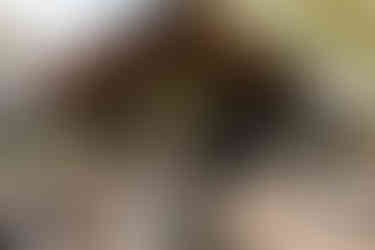 Wedding Photos in Pittsburgh PA