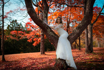 Pittsburgh Wedding Photo