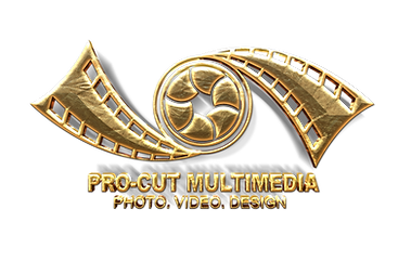 Pro-Cut Multimedia Golden Logo