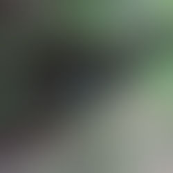 ジオサイトうばのふところの整備を行いました