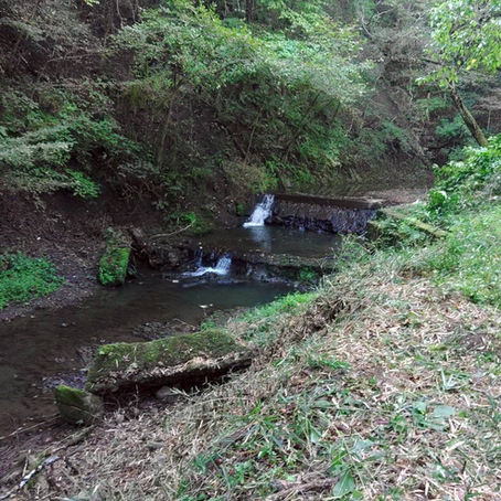 ジオサイトうばのふところの整備を行いました