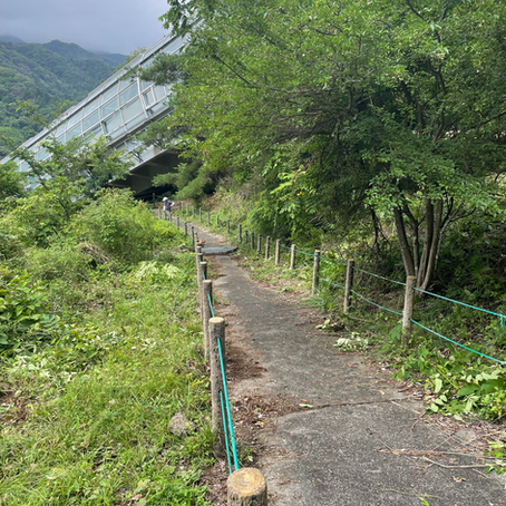 ジオサイトの整備を行いました