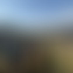 第11回やまなし上野原ジオツアーを開催しました。