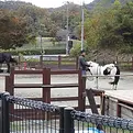 リサーチパーク.webp