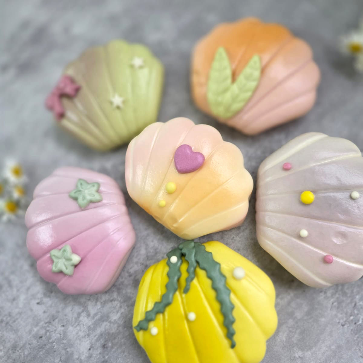 Shell Kiap Kiap (3 pcs)