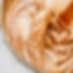 9BEB9D1E-C136-4BED-9675-5DBC44DA6BD2.png