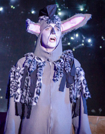 Christian as Donkey in Shrek