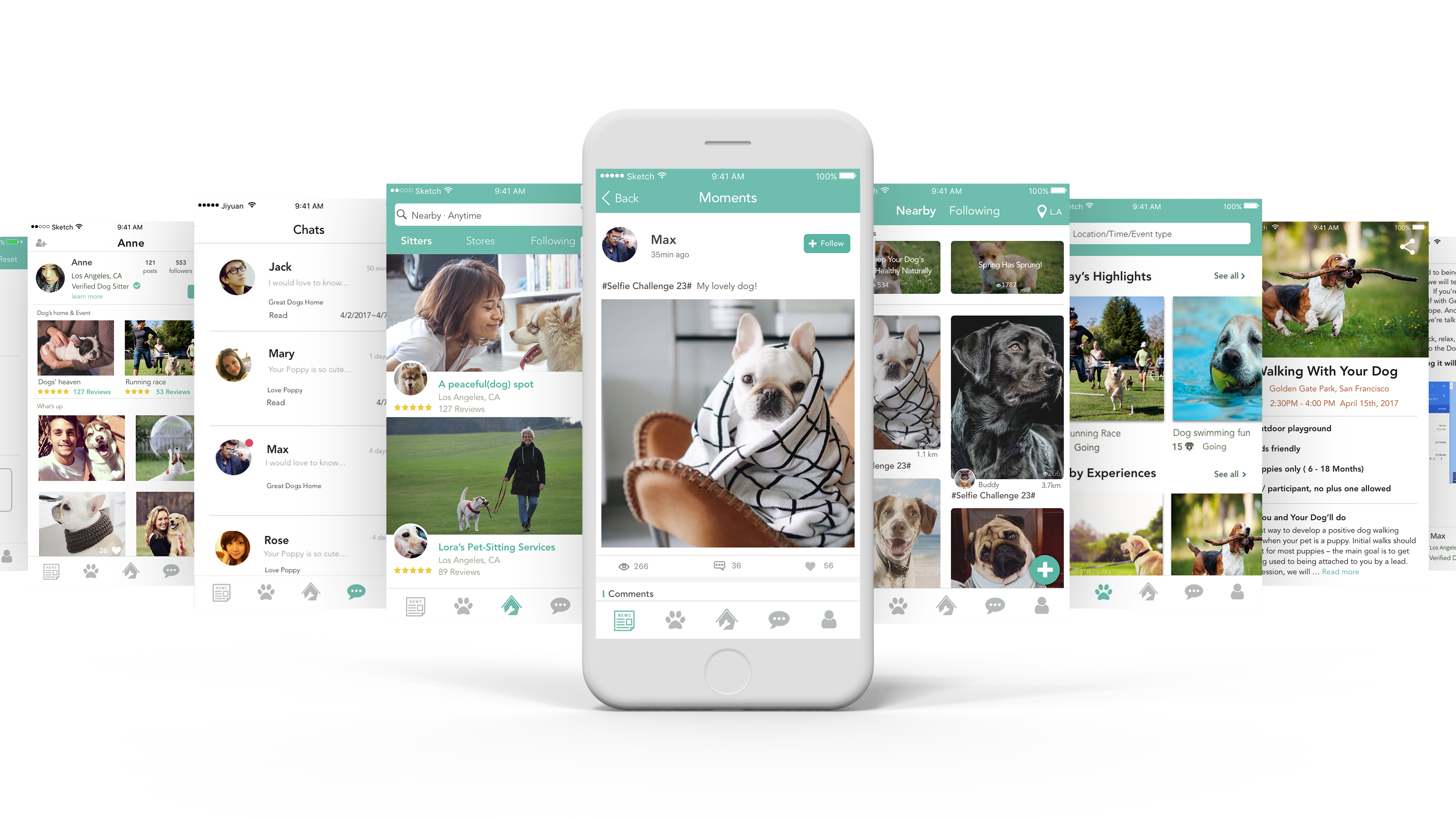 Interview synthesis — owners and their dogs