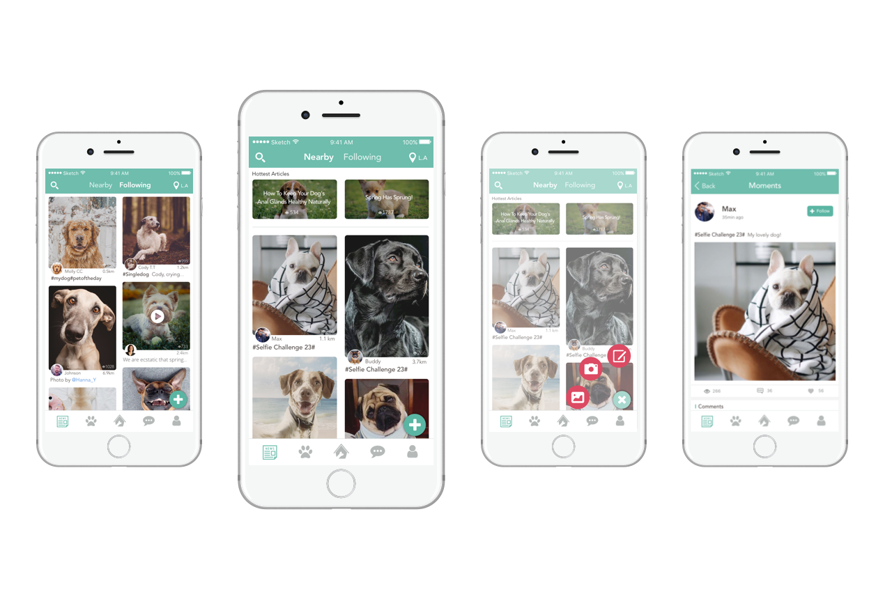 Moments — daily pictures and videos of the dogs around you