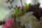 floral closeup.jpg