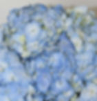 Blue_014.jpg