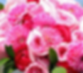 hot pink bouquet_edited.jpg