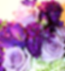 PurpleBouquetWithCoolWaterRose-8-9-18-2010_edited_edited.jpg