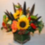 HighNMagicRoseMilletSunflower5InCube.jpg