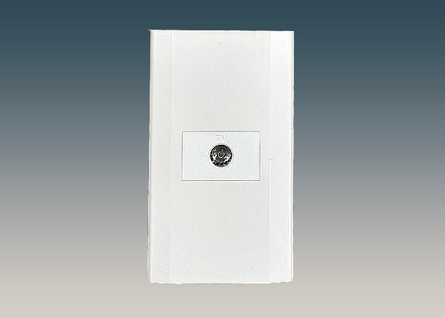 US Style Wall Plate with TV Port