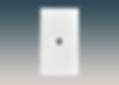 US Style Wall Plate with TV Port | CTK Contact