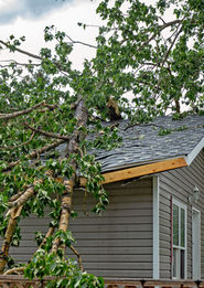 Storm Damage Roof Tree Crash
