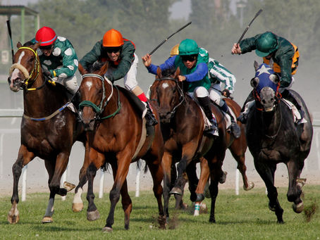 Betting on the Jockey