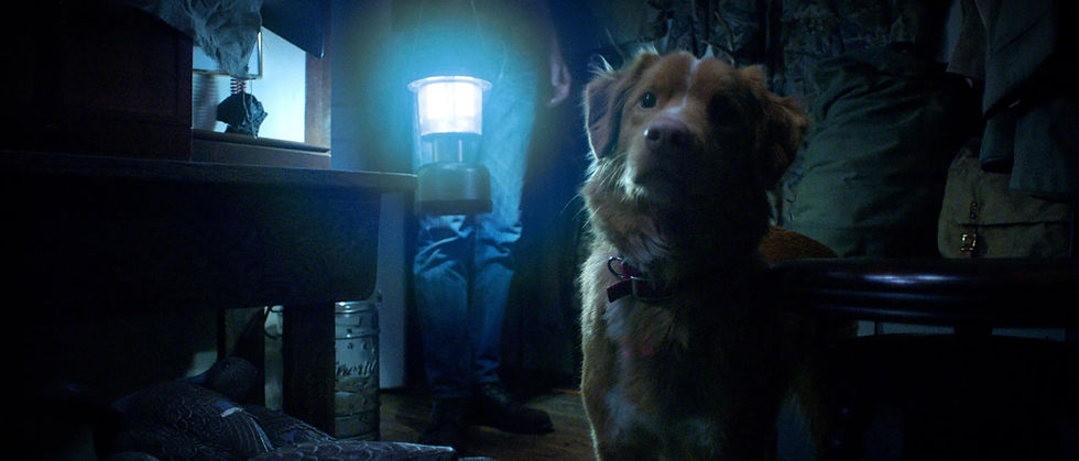1. GOOD BOY