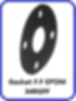 Full Face Gasket EPDM 34RGFF
