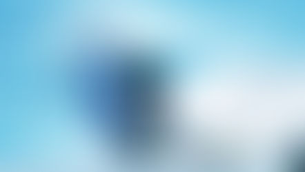 СВОДНЫЙ АНАЛИЗ ПРОФЕССИОНАЛЬНЫХ КОМПЕТЕНЦИЙ БУДУЩИХ IT-СПЕЦИАЛИСТОВ