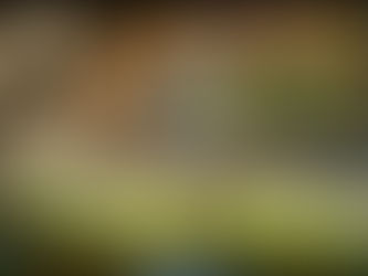 The God Who Calls Us Back