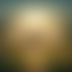 His Presence Makes the Difference