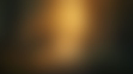 BREAKING THE SPIRIT OF DELAY AT THE GATE