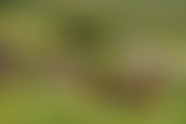 Today’s Reading: Mark 9–16 Sunday, 5th October 2025  Introduction Today’s reading draws us deeper into the heart of discipleship. Jesus unveils the cost and the glory of following Him. In Mark 9, He is transfigured before His disciples, revealing His divine glory and affirming that He is truly the Son of God. Yet alongside this glory, He speaks plainly about His coming suffering, death, and resurrection — teaching that the path to life leads through the cross.  As we follow Him through chapters of healing, deliverance, teaching, betrayal, and ultimately crucifixion and resurrection, we see the full scope of His mission. The Gospel of Mark ends with the risen Christ commissioning His followers to proclaim the Good News to all creation — a mission that continues through us today.  Who is God? God is the Lord of glory and the Suffering Servant. He is both majestic and humble, powerful and compassionate. He is the God who calls us not only to witness His power but to share in His suffering