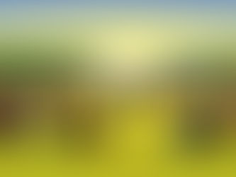 ESTABLISHING KINGDOM CULTURE IN THE TERRITORY