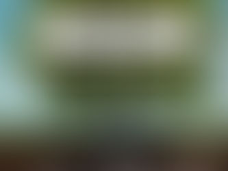 THE ROOT OF BELIEVING