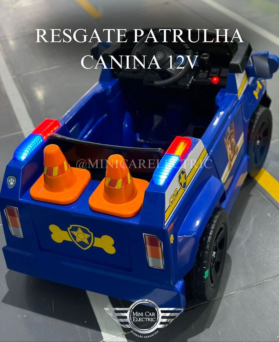 Miniatura: Patrulha Canina - Policial