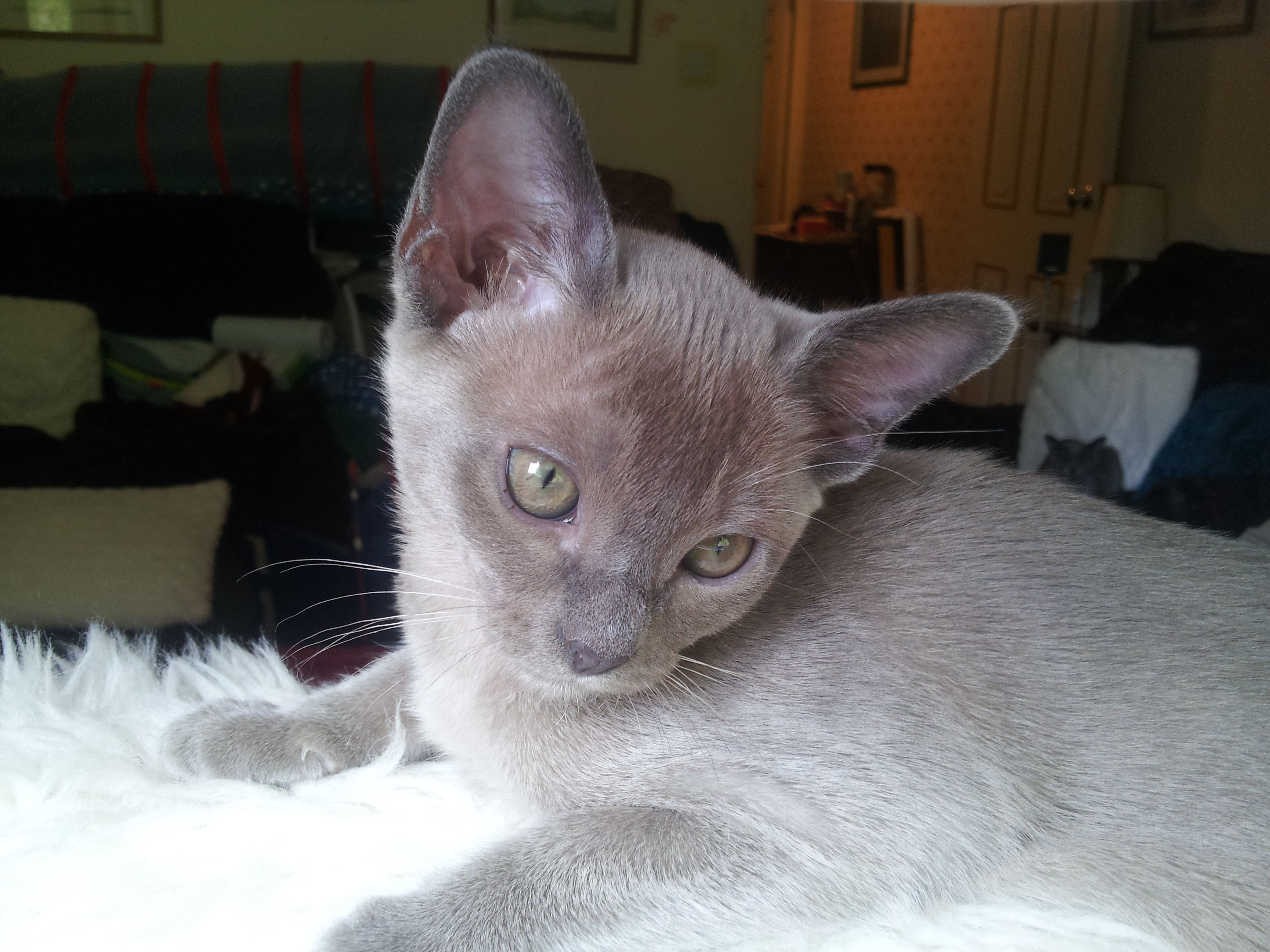 Blue Girl (15-07-02)
