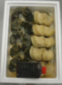 にじますの円揚げ(一次揚げ冷凍半調理品)